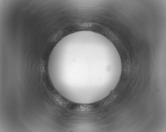 X0000074330758200609230052