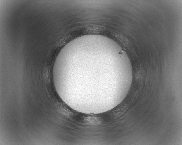 X0000074330759200609230052