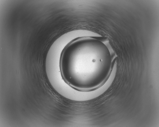 X0000074330762200609230052