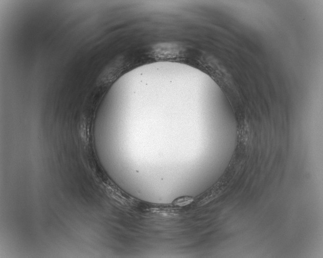 X0000074330763200609230052