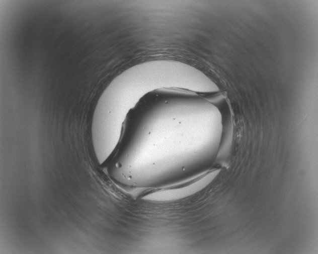 X0000074330764200609230052