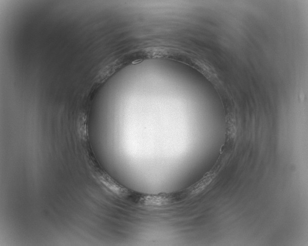 X0000074330766200609230052