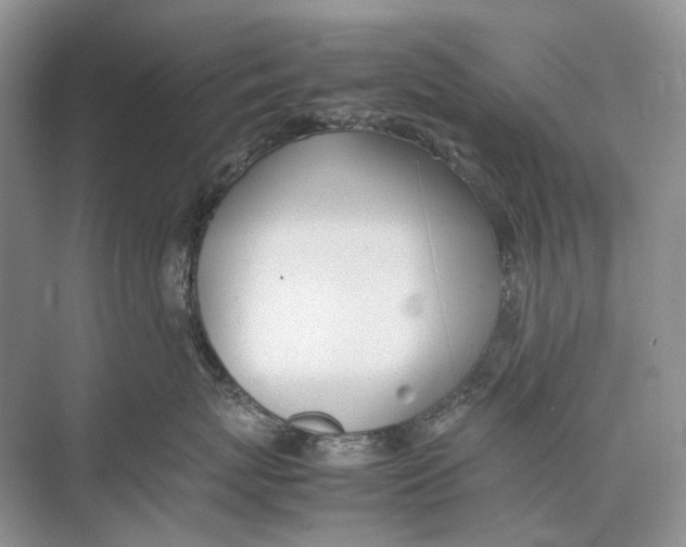 X0000074330767200609230052