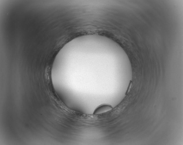 X0000074330768200609230052