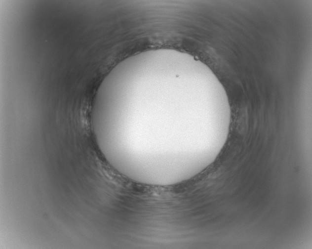 X0000074330770200609230051