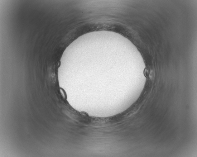 X0000074330771200609230051