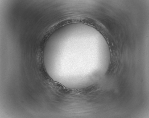 X0000074330773200609230051