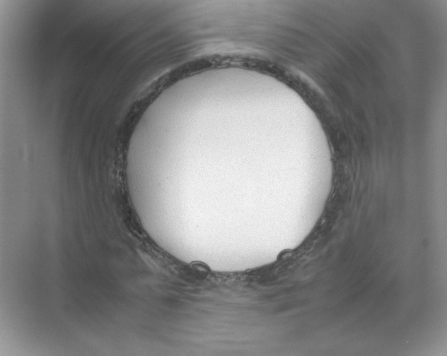 X0000074330775200609230051