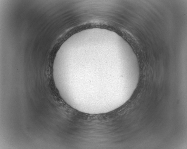 X0000074330776200609230051