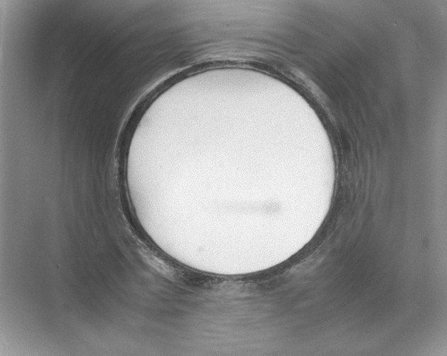 X0000074330779200609230051