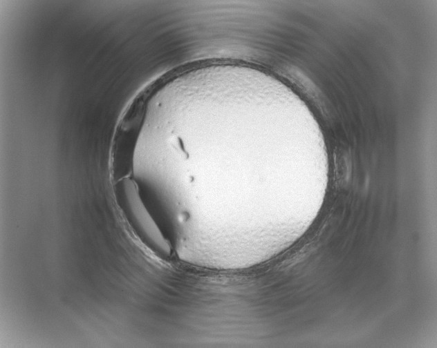 X0000074330780200609230051