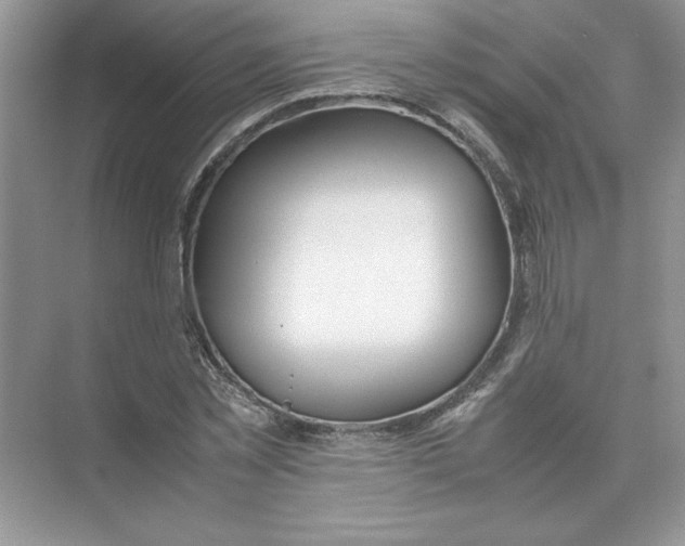 X0000074330781200609230051