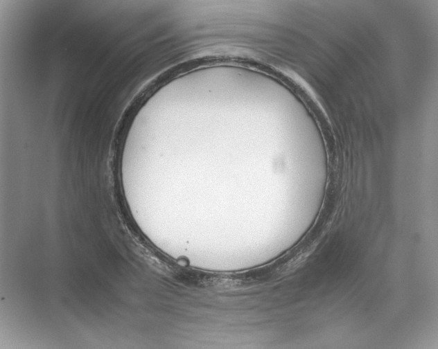 X0000074330783200609230051