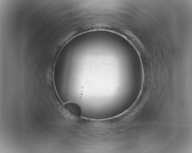 X0000074330785200609230051