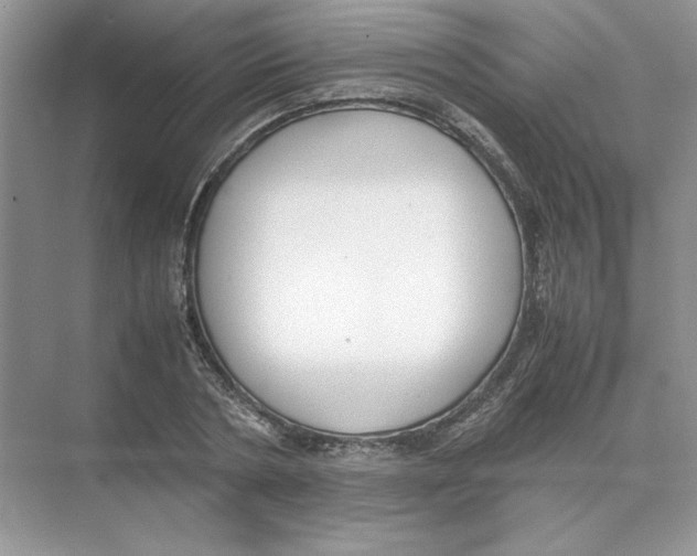 X0000074330786200609230051