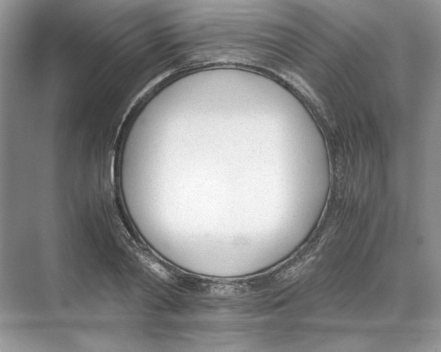 X0000074330790200609230051