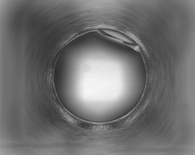 X0000074330793200609230051