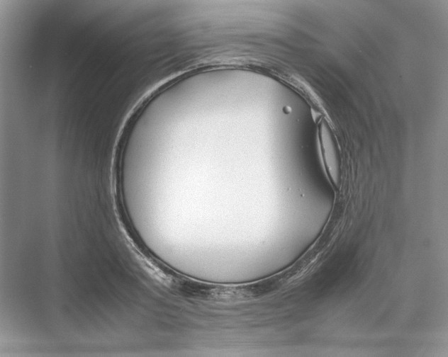 X0000074330795200609230051