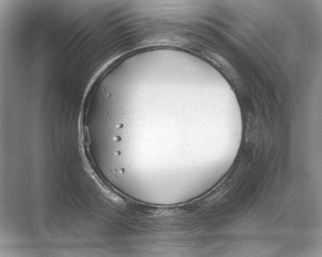 X0000074330796200609230051