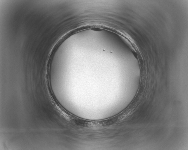 X0000074330799200609230051