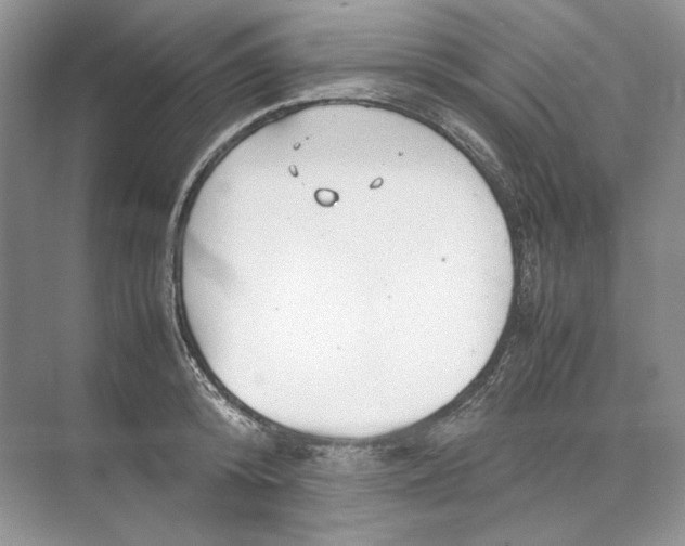 X0000074330800200609230051