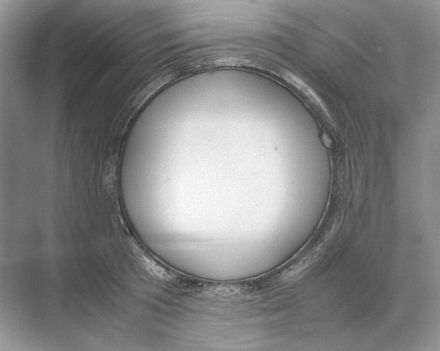 X0000074330801200609230051