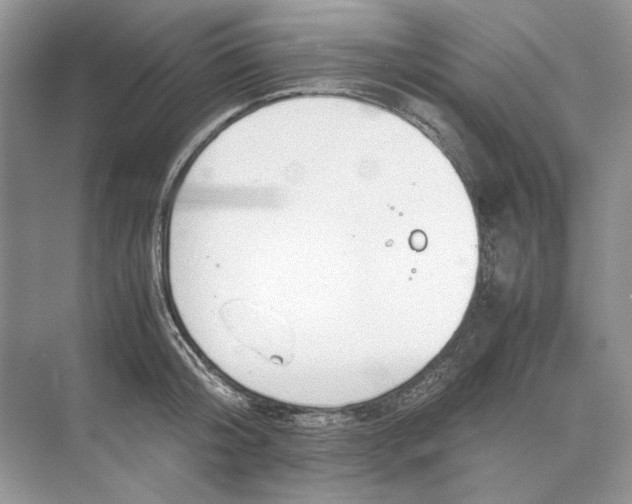 X0000074330804200609230051