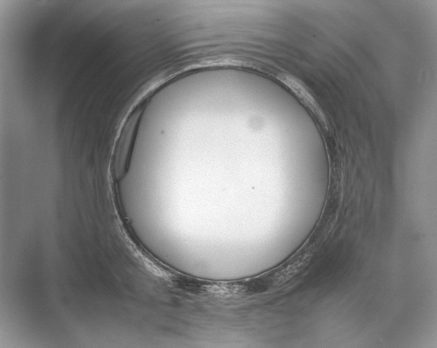 X0000074330805200609230051