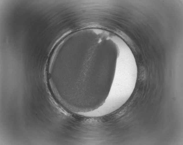 X0000074330806200609230051