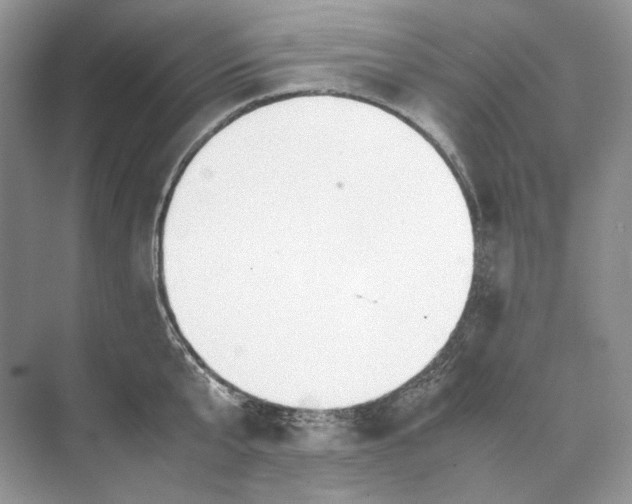 X0000074330807200609230051