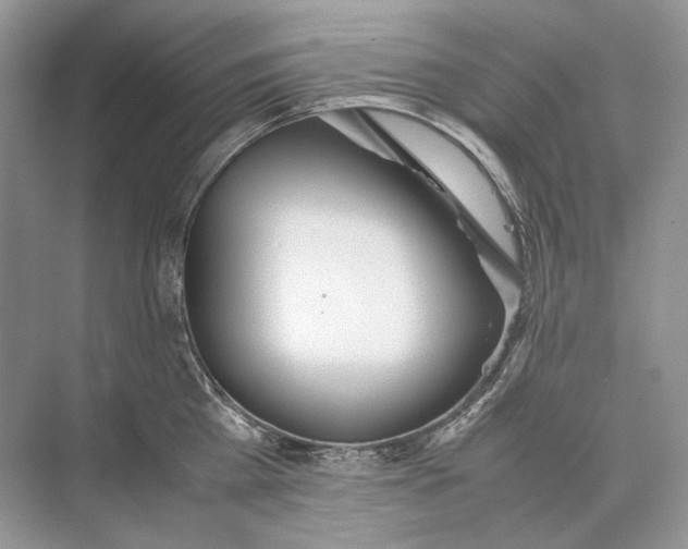 X0000074330809200609230051