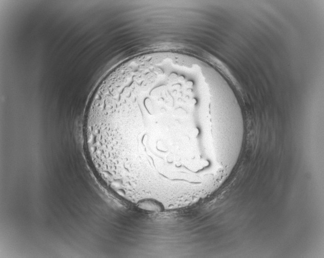 X0000074330810200609230051