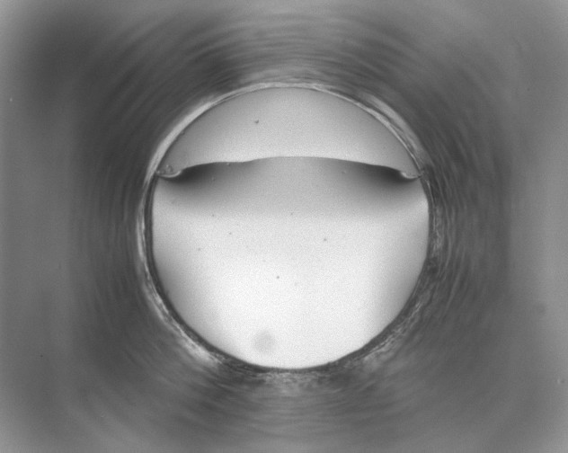 X0000074330812200609230051