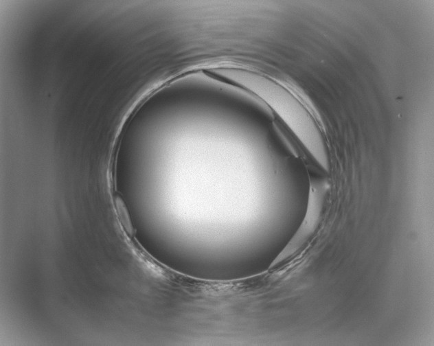 X0000074330813200609230051