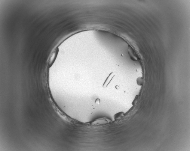 X0000074330816200609230050