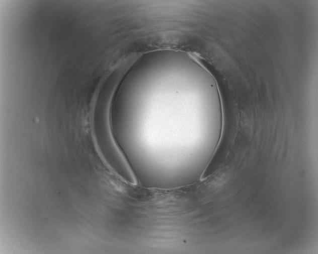 X0000074330818200609230050