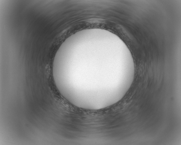 X0000074330821200609230050