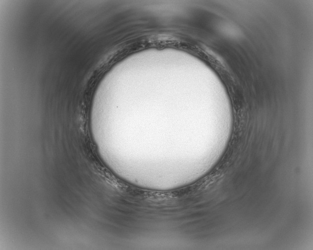 X0000074330823200609230050