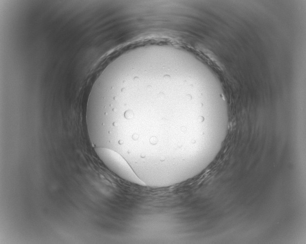 X0000074330824200609230050