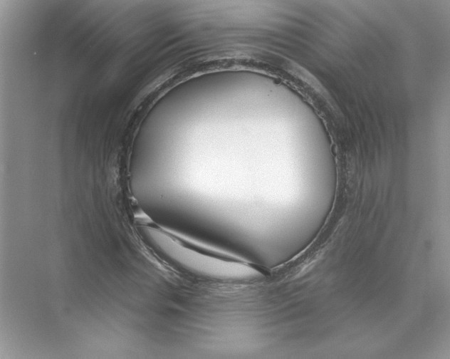 X0000074330826200609230050