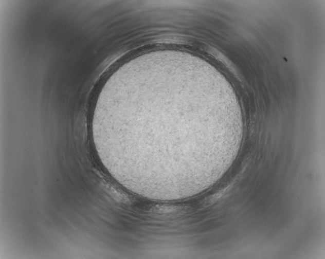 X0000074330829200609230050