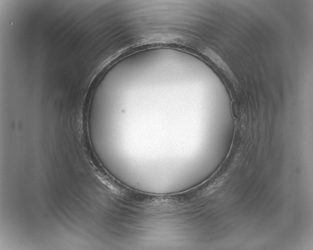 X0000074330834200609230050