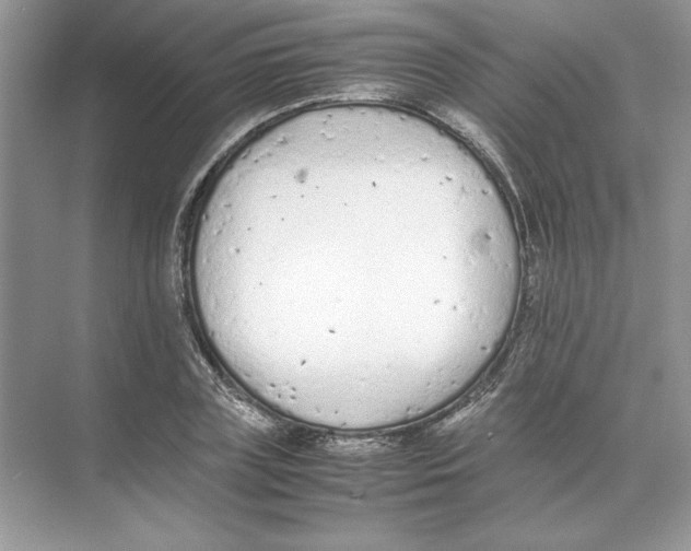 X0000074330835200609230050