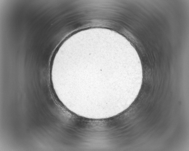 X0000074330836200609230050