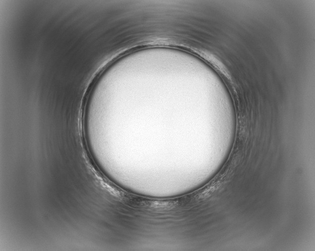 X0000074330839200609230050