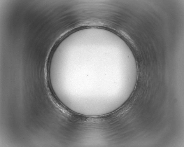 X0000074330840200609230050