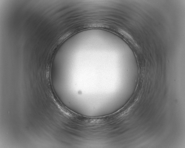 X0000074330841200609230050