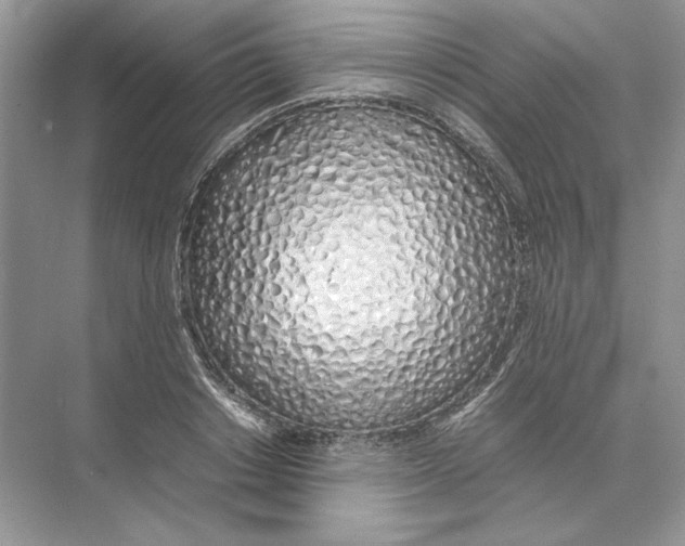 X0000074330842200609230050