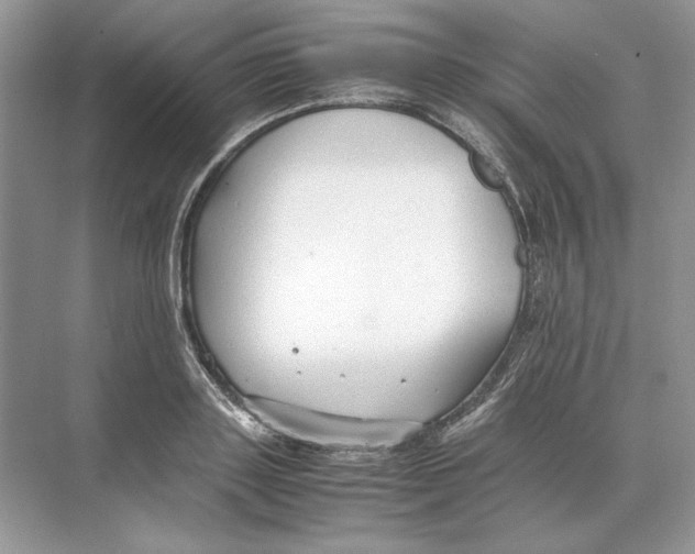 X0000074330843200609230050