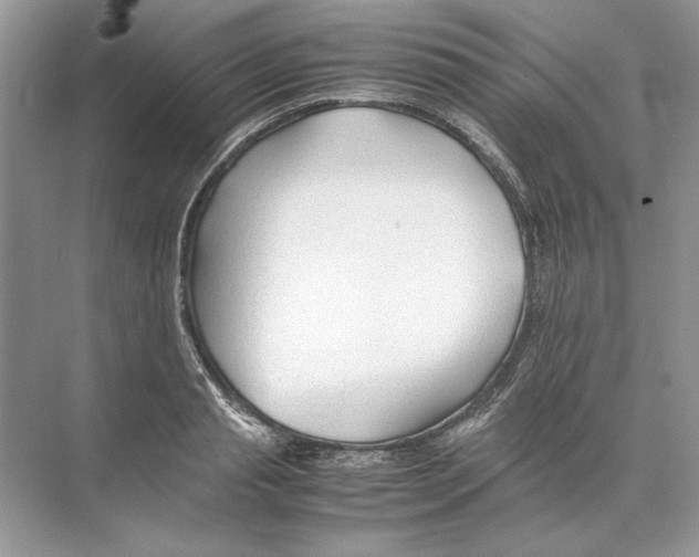 X0000074330845200609230050